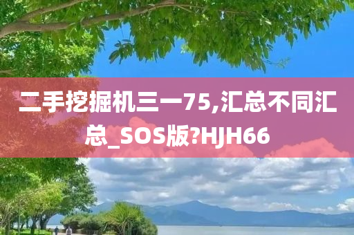 二手挖掘机三一75,汇总不同汇总_SOS版?HJH66