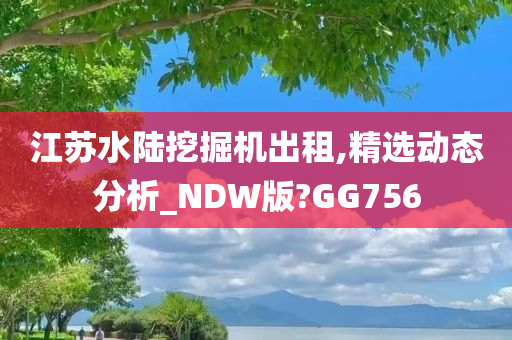 江苏水陆挖掘机出租,精选动态分析_NDW版?GG756