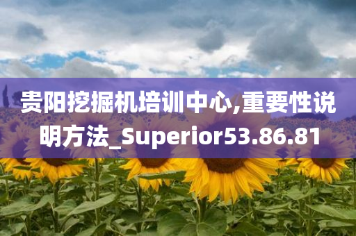 贵阳挖掘机培训中心,重要性说明方法_Superior53.86.81