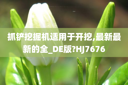 抓铲挖掘机适用于开挖,最新最新的全_DE版?HJ7676