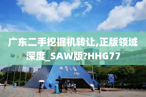 广东二手挖掘机转让,正版领域深度_SAW版?HHG77