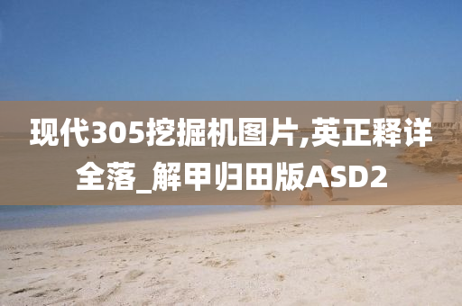 现代305挖掘机图片,英正释详全落_解甲归田版ASD2