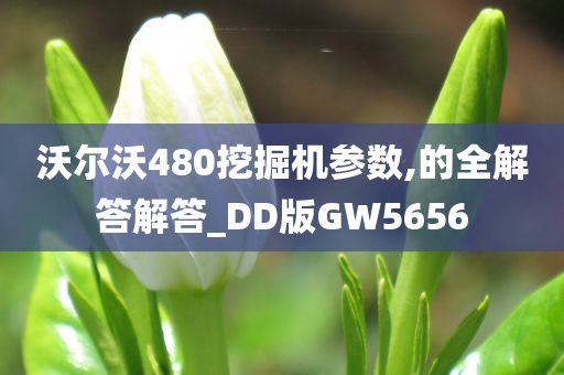 沃尔沃480挖掘机参数,的全解答解答_DD版GW5656