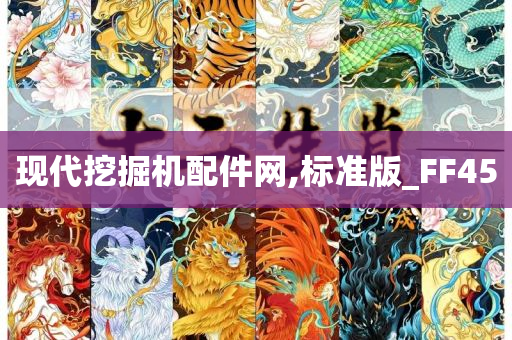 现代挖掘机配件网,标准版_FF45