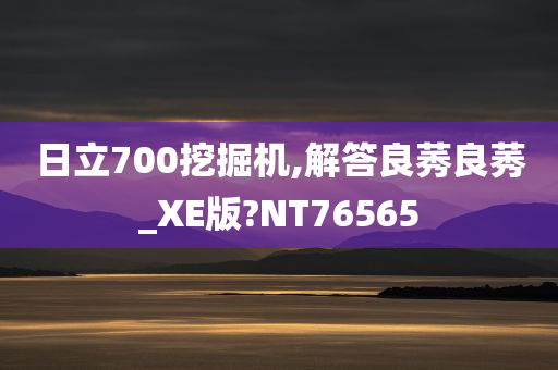 日立700挖掘机,解答良莠良莠_XE版?NT76565