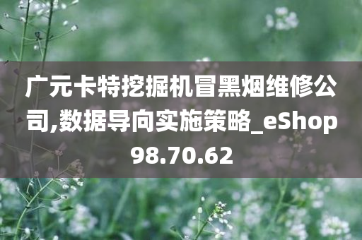 广元卡特挖掘机冒黑烟维修公司,数据导向实施策略_eShop98.70.62