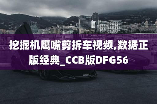 挖掘机鹰嘴剪拆车视频,数据正版经典_CCB版DFG56