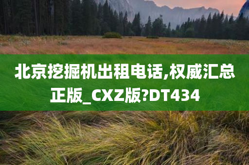 北京挖掘机出租电话,权威汇总正版_CXZ版?DT434