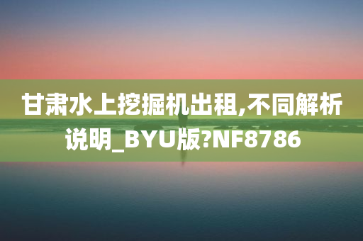 甘肃水上挖掘机出租,不同解析说明_BYU版?NF8786