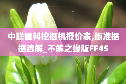 中联重科挖掘机报价表,版准据据选解_不解之缘版FF45