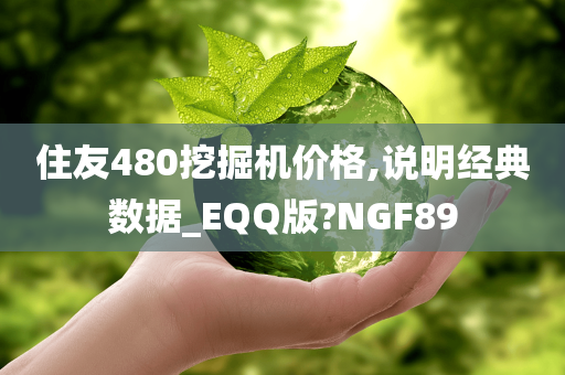 住友480挖掘机价格,说明经典数据_EQQ版?NGF89