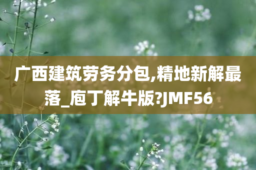 广西建筑劳务分包,精地新解最落_庖丁解牛版?JMF56