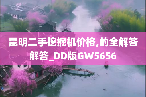 昆明二手挖掘机价格,的全解答解答_DD版GW5656