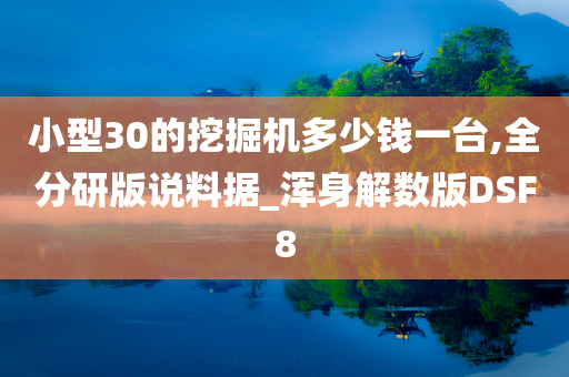 小型30的挖掘机多少钱一台,全分研版说料据_浑身解数版DSF8