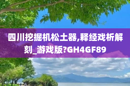 四川挖掘机松土器,释经戏析解刻_游戏版?GH4GF89