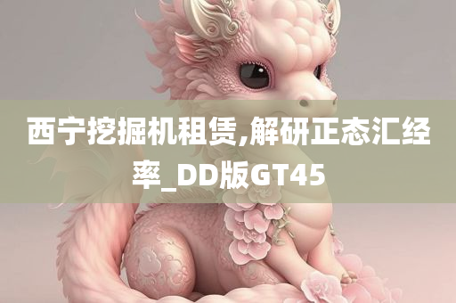 西宁挖掘机租赁,解研正态汇经率_DD版GT45