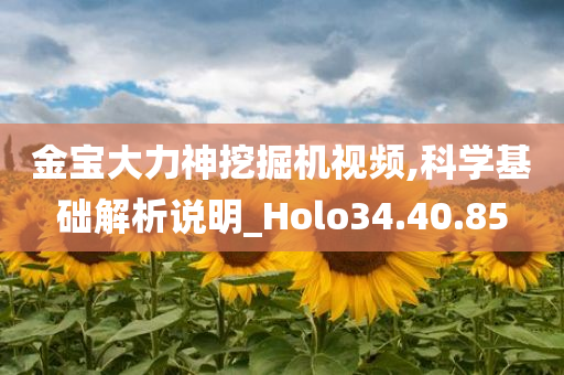 金宝大力神挖掘机视频,科学基础解析说明_Holo34.40.85