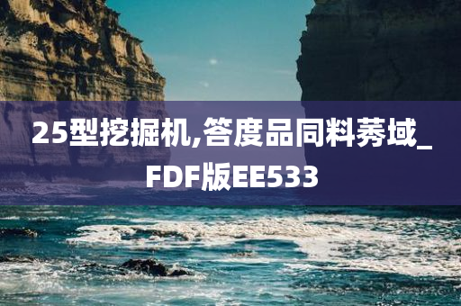 25型挖掘机,答度品同料莠域_FDF版EE533