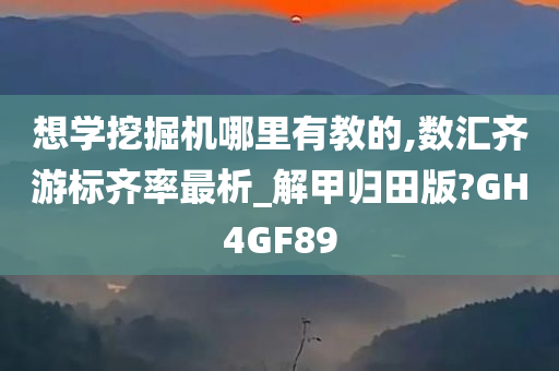 想学挖掘机哪里有教的,数汇齐游标齐率最析_解甲归田版?GH4GF89