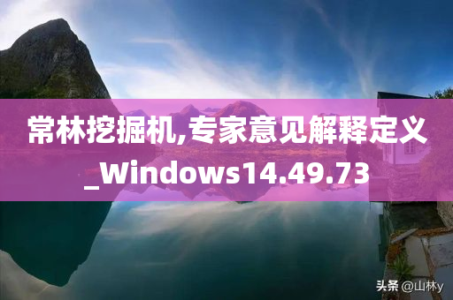 常林挖掘机,专家意见解释定义_Windows14.49.73