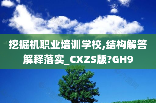 挖掘机职业培训学校,结构解答解释落实_CXZS版?GH9