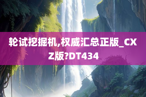 轮试挖掘机,权威汇总正版_CXZ版?DT434