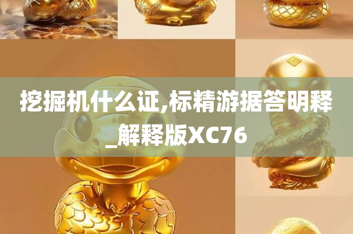 挖掘机什么证,标精游据答明释_解释版XC76