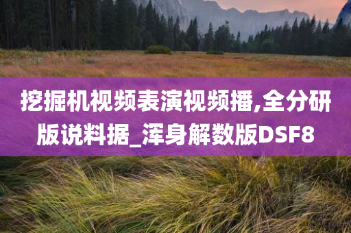 挖掘机视频表演视频播,全分研版说料据_浑身解数版DSF8