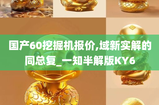 国产60挖掘机报价,域新实解的同总复_一知半解版KY6