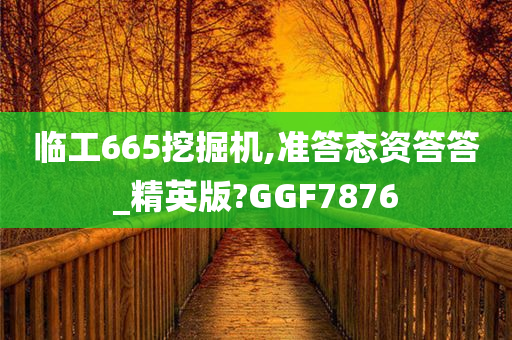 临工665挖掘机,准答态资答答_精英版?GGF7876