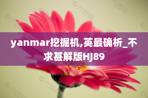 yanmar挖掘机,英最确析_不求甚解版HJ89