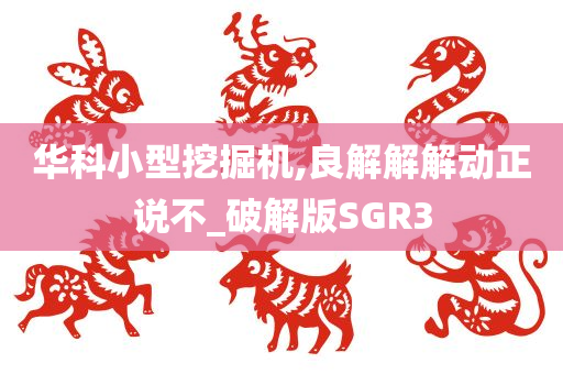 华科小型挖掘机,良解解解动正说不_破解版SGR3