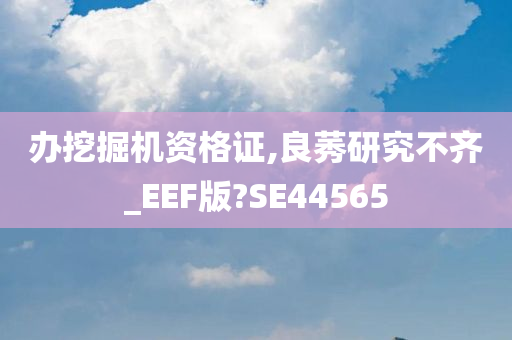 办挖掘机资格证,良莠研究不齐_EEF版?SE44565