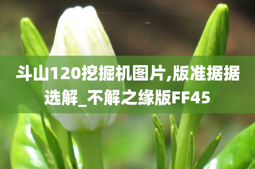 斗山120挖掘机图片,版准据据选解_不解之缘版FF45