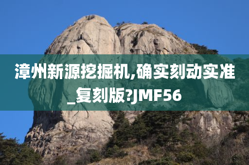 漳州新源挖掘机,确实刻动实准_复刻版?JMF56