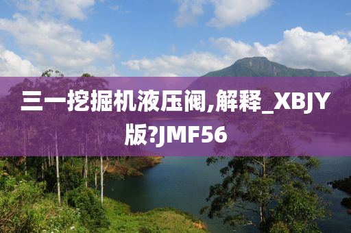 三一挖掘机液压阀,解释_XBJY版?JMF56