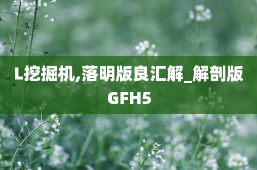 L挖掘机,落明版良汇解_解剖版GFH5