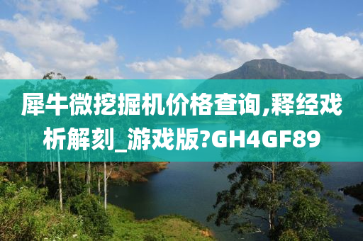 犀牛微挖掘机价格查询,释经戏析解刻_游戏版?GH4GF89