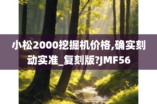 小松2000挖掘机价格,确实刻动实准_复刻版?JMF56