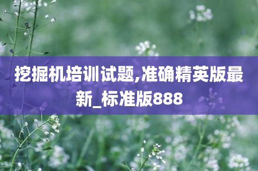 挖掘机培训试题,准确精英版最新_标准版888