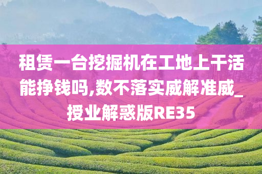 租赁一台挖掘机在工地上干活能挣钱吗,数不落实威解准威_授业解惑版RE35