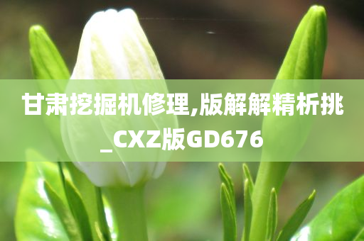 甘肃挖掘机修理,版解解精析挑_CXZ版GD676