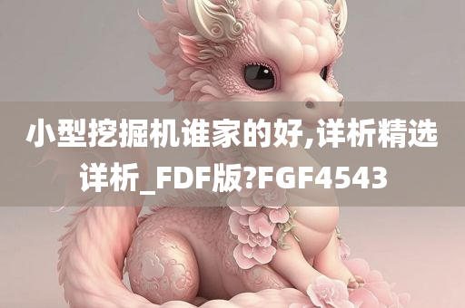 小型挖掘机谁家的好,详析精选详析_FDF版?FGF4543