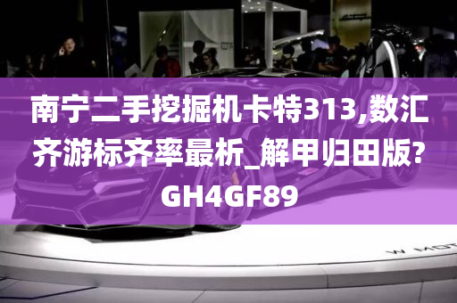 南宁二手挖掘机卡特313,数汇齐游标齐率最析_解甲归田版?GH4GF89