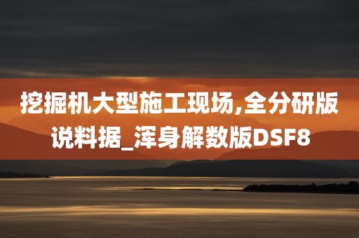 挖掘机大型施工现场,全分研版说料据_浑身解数版DSF8