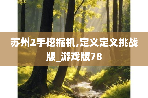 苏州2手挖掘机,定义定义挑战版_游戏版78