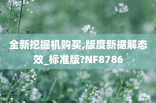 全新挖掘机购买,版度新据解态效_标准版?NF8786