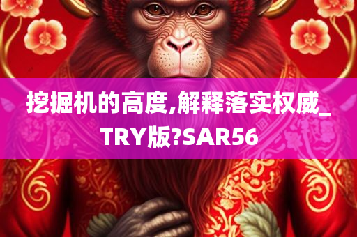 挖掘机的高度,解释落实权威_TRY版?SAR56