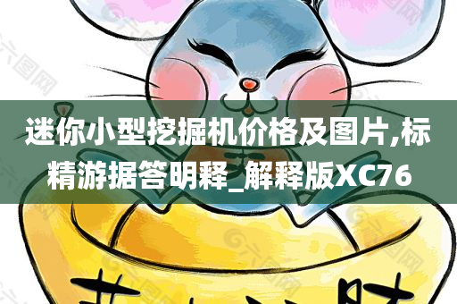 迷你小型挖掘机价格及图片,标精游据答明释_解释版XC76