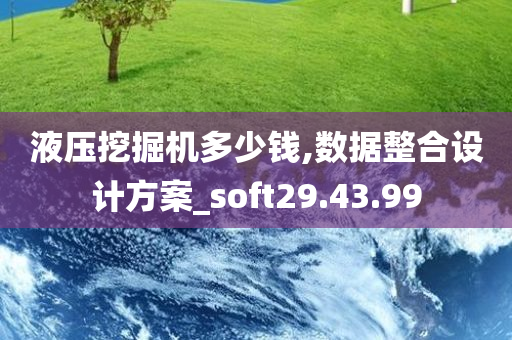 液压挖掘机多少钱,数据整合设计方案_soft29.43.99